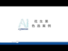 পেশাগত বাদাম রঙ Sorter Peeling বাদাম রঙ বাছাই মেশিন