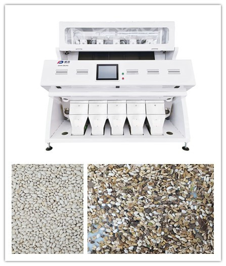 CCD RGB অপটিক্যাল হোয়াইট বিন গ্রেইন সর্টার 5 চুটস 320 চ্যানেল